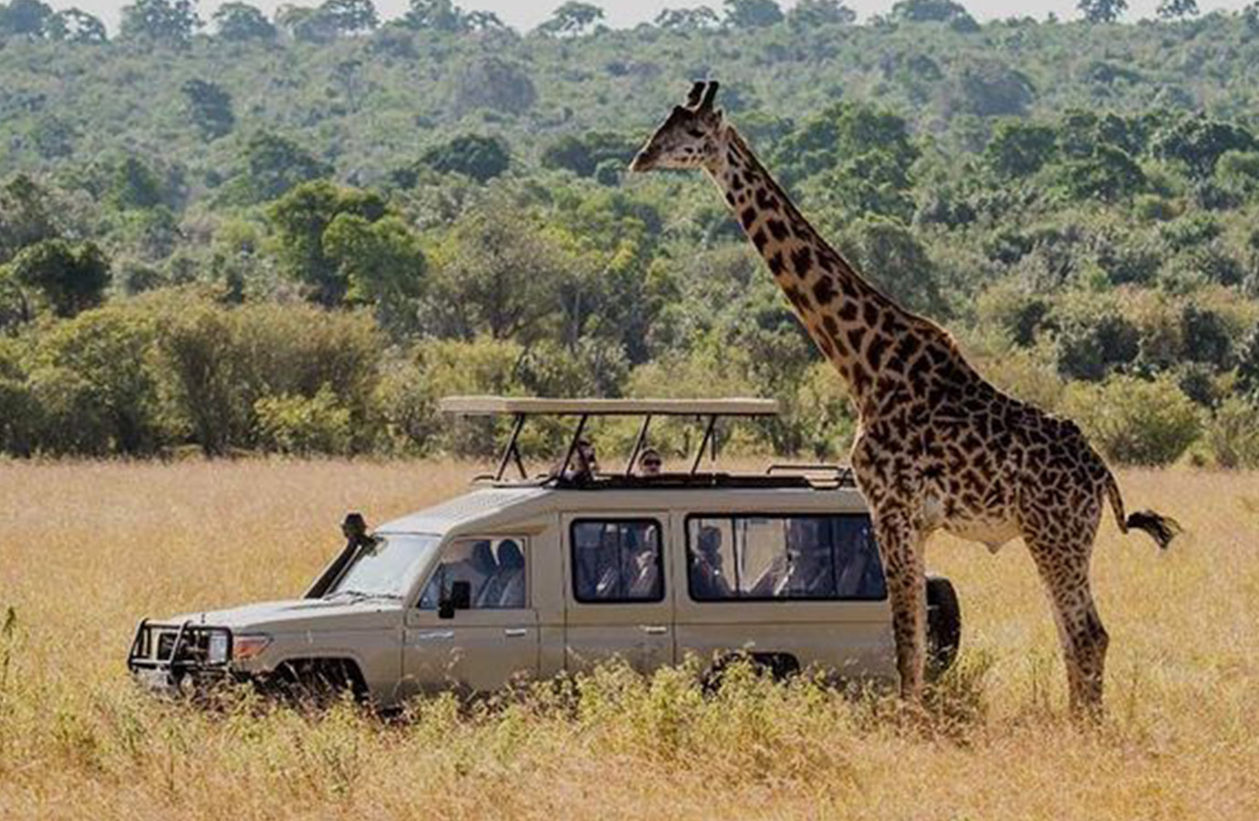 5 Days Amboseli, Lake Naivasha and Masai Mara.
