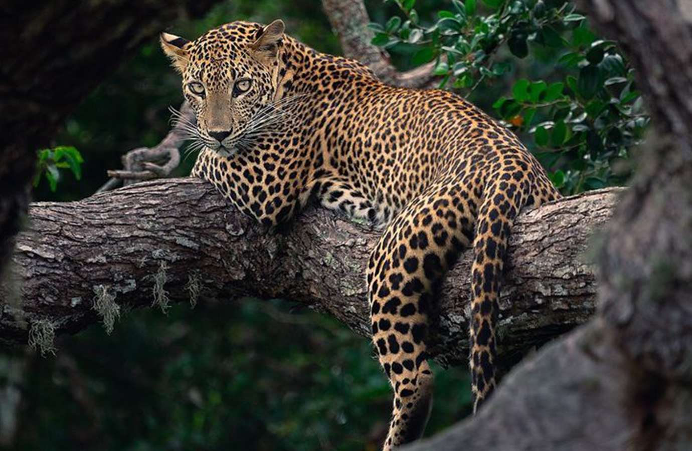 Your Adventure Travel Experts in World