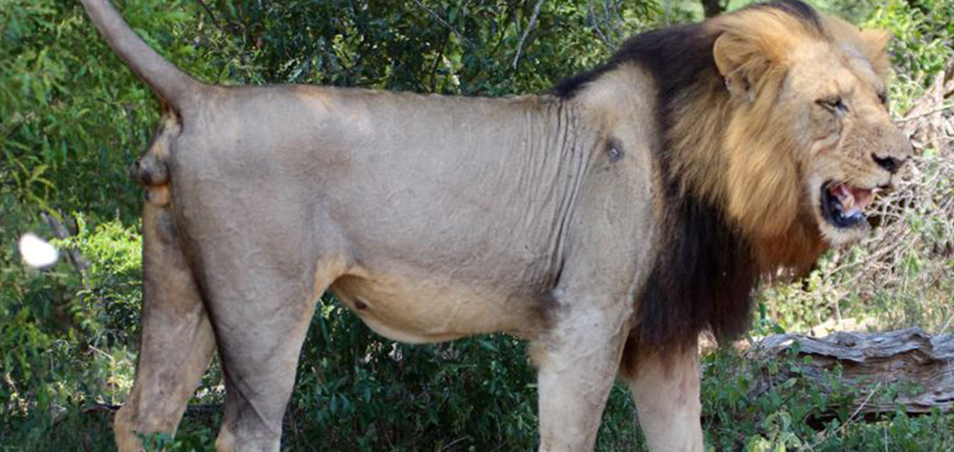 2 Days Amboseli National Park