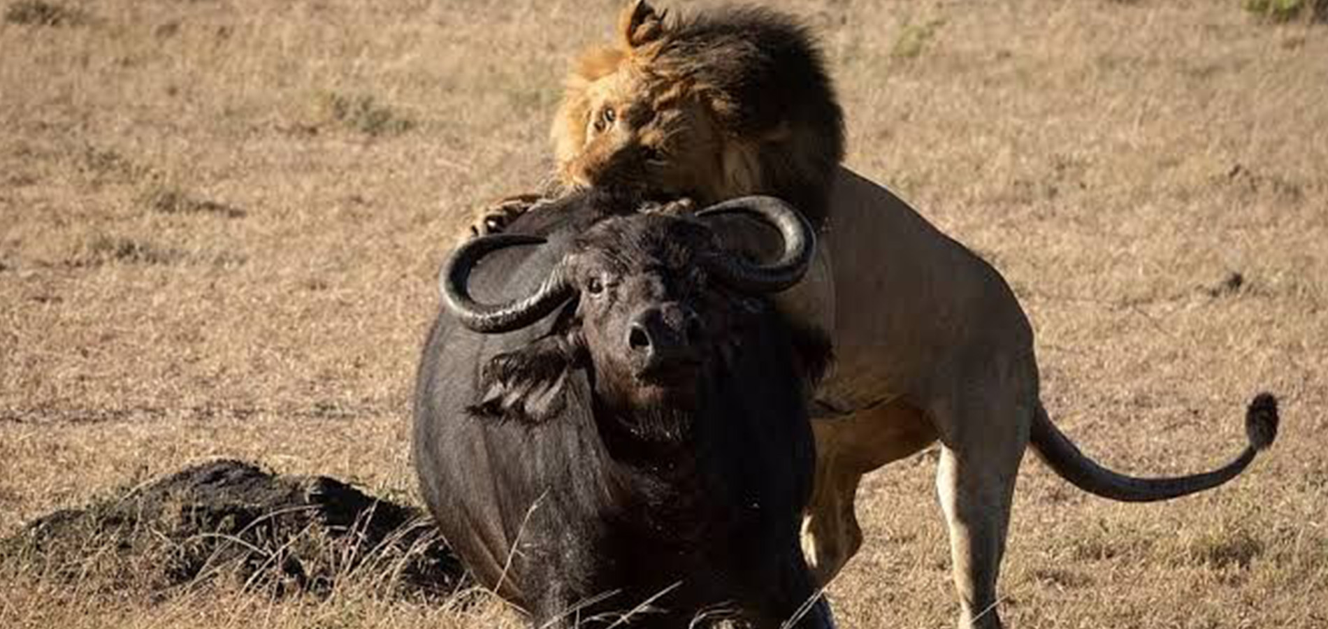 4 Days Aberdare and Samburu Game Reserve.