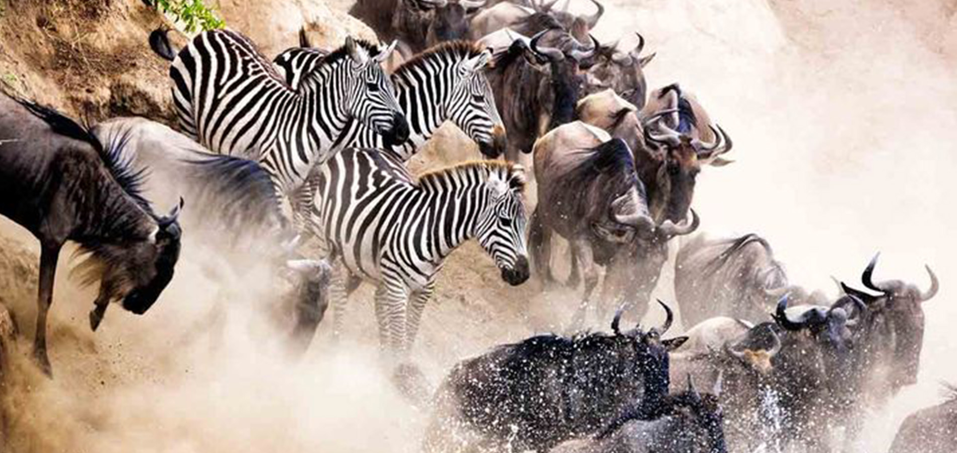 6 Days Samburu, Lake Nakuru and Masai Mara.