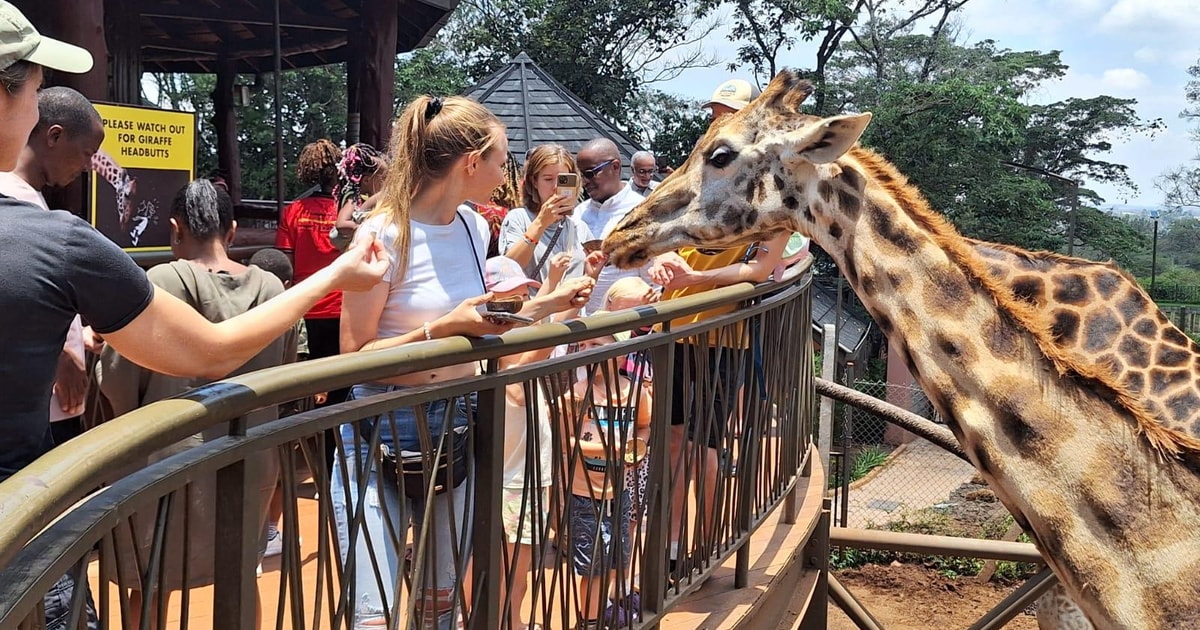 Top Things To Do In Nairobi, Kenya (Including Day Trips!)