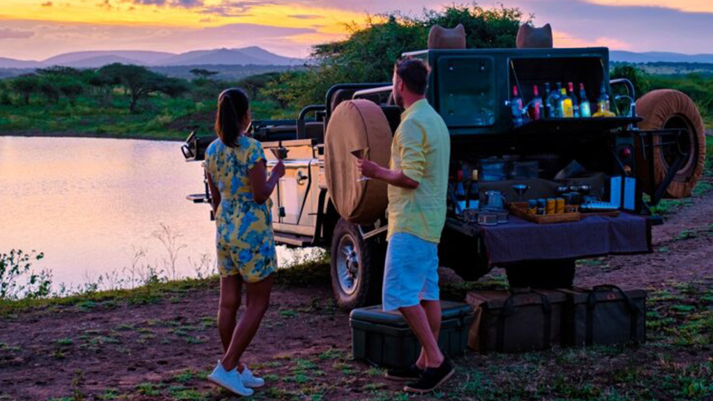 Ultimate Safari Guide: Budget, Luxury & Custom Adventures